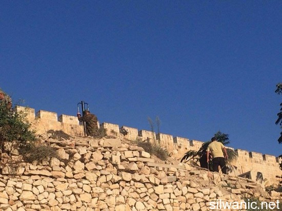 11938891_10153000219812466_148174583_n