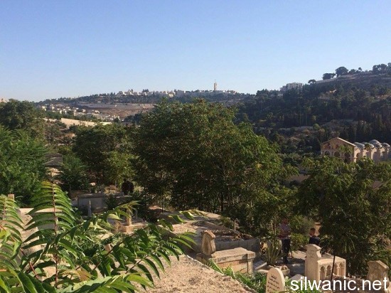 11938922_10153000219152466_1435391254_n