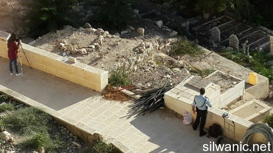 11940130_10153000304957466_638612666_n