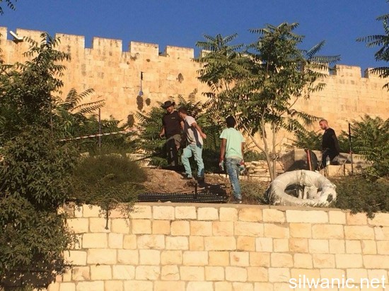 11940178_10153000219902466_1304075207_n