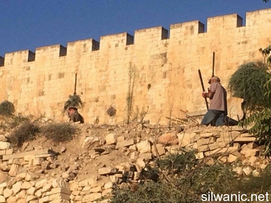 11944767_10153000219852466_1668092480_n