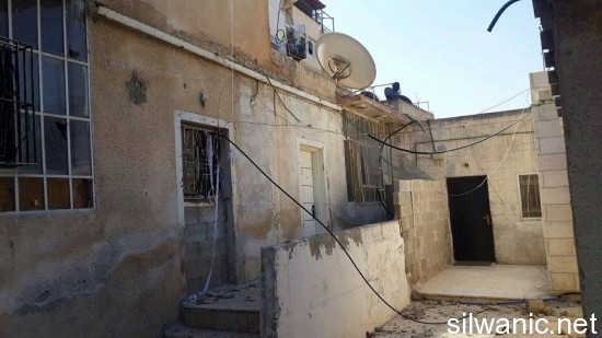 11944991_10152998913332466_1270181180_n