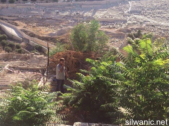 11948168_10153000219197466_1153284991_n