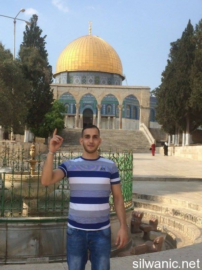 11948192_10152999358472466_871567289_n