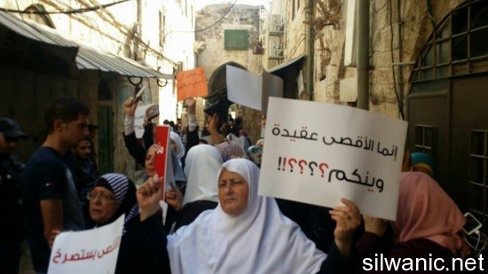 11948307_10152998756682466_1658885380_n