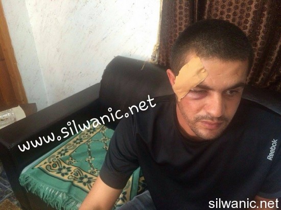 11950799_10152999376837466_1331008771_n