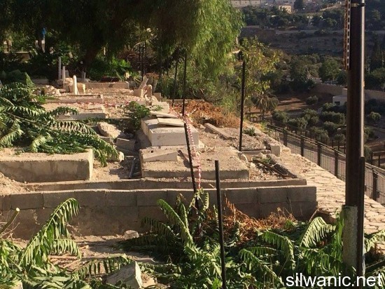 11950864_10153000219492466_792172355_n