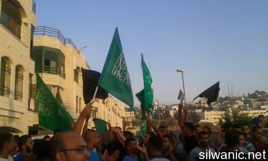 11950875_10153010072967466_587082831_n