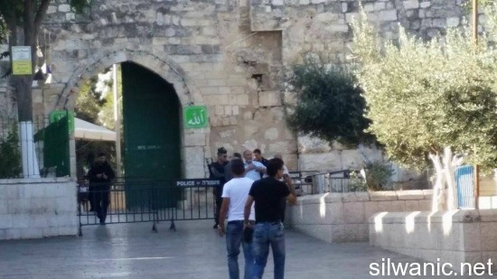 11951001_10152998756772466_297875735_n