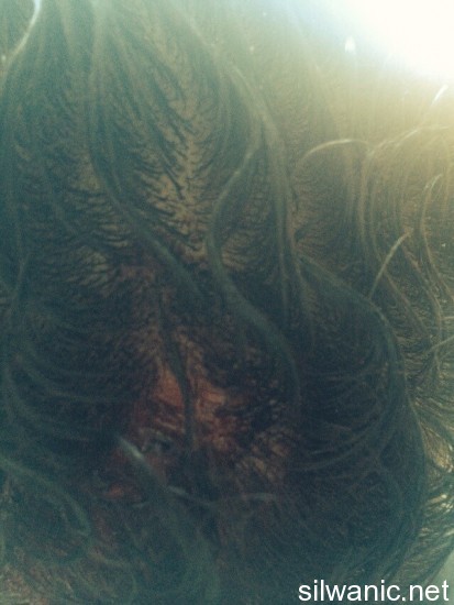 11951013_10152998756832466_1373585858_n