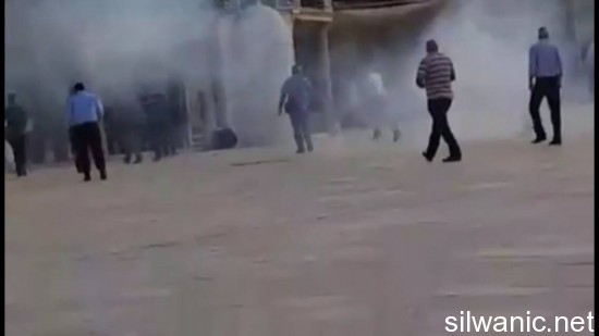 11982574_10153020775437466_71441697_o