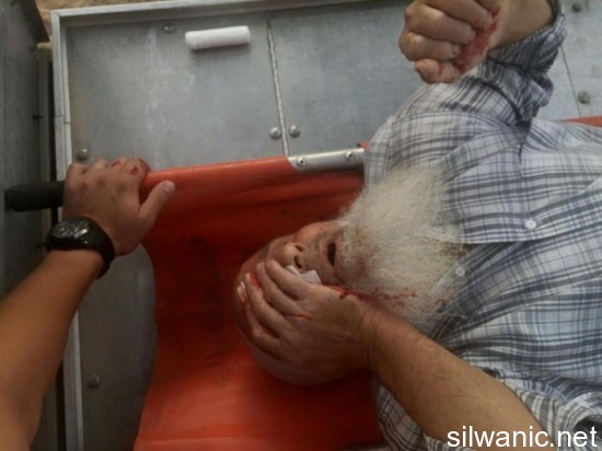 11987199_876163249134445_4223427975729064773_n