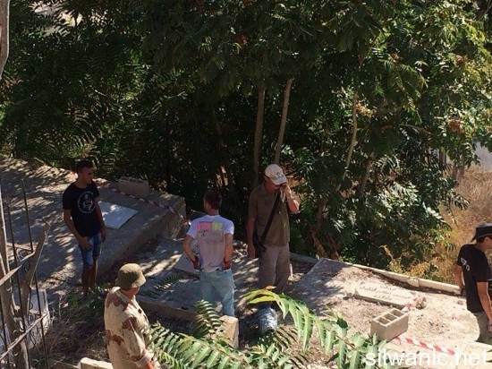 11992094_10153000304692466_671493637_n