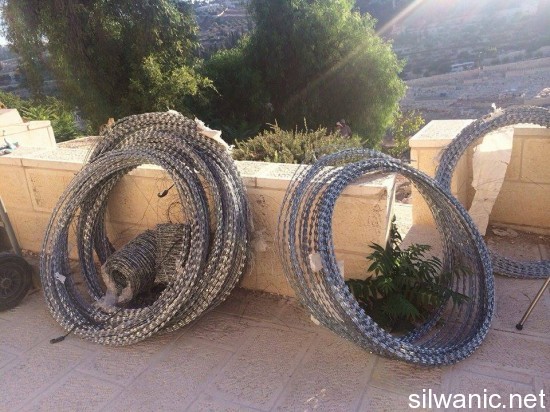 11992167_10153000219547466_1234181800_n