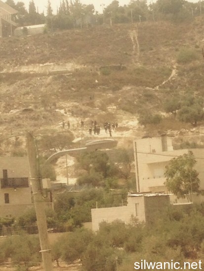 11992371_10153009984247466_1767376501_n