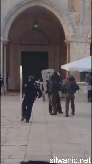 11994351_10153020764897466_1564137369_n