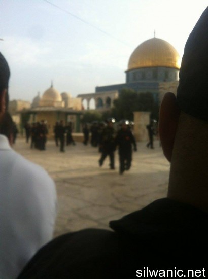 11995519_10153020765102466_1225692320_n