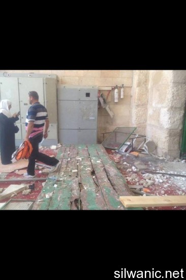 11997066_10153020937862466_1987827146_n