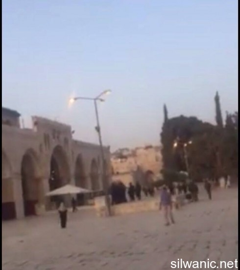 11997102_10153020709367466_1839963029_n