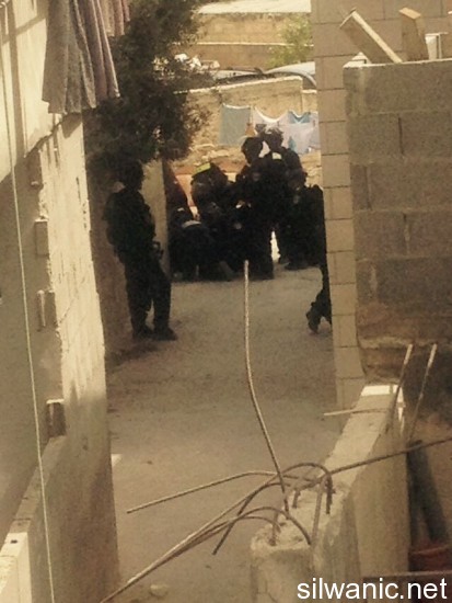 11997114_10153009984267466_603933747_n