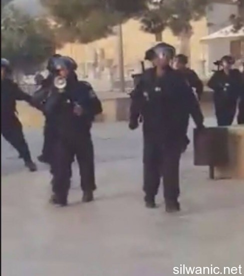 11998161_10153020764917466_1716472765_n