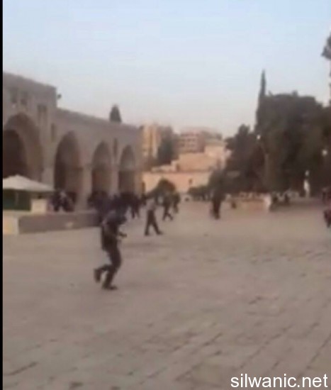 11998350_10153020709442466_884416347_n