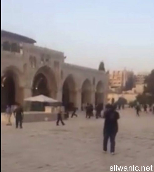 11998490_10153020709417466_1056400226_n