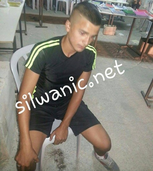 11998636_10153010240707466_2042546376_n