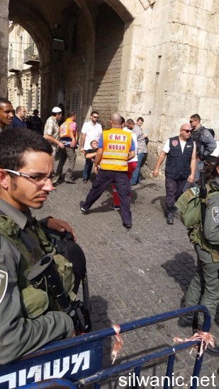 11998773_10153020850967466_1532048532_n