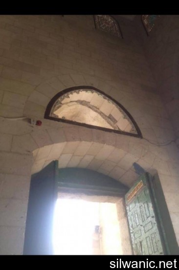 12000059_10153020937907466_616817343_n