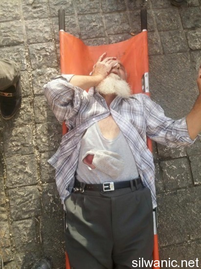 12002198_876163219134448_7752728442682282560_n