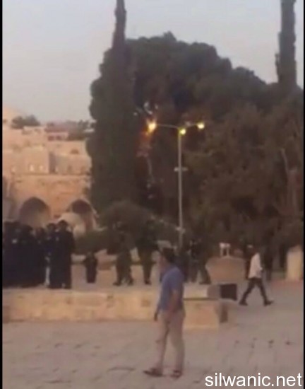 12007079_10153020709467466_98577247_n