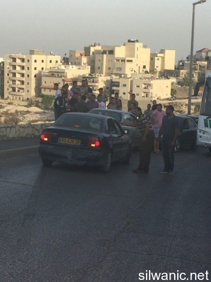 12007184_10153025252037466_1164337384_n