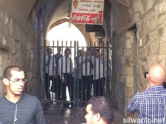 12007266_10153020904947466_29296151_n