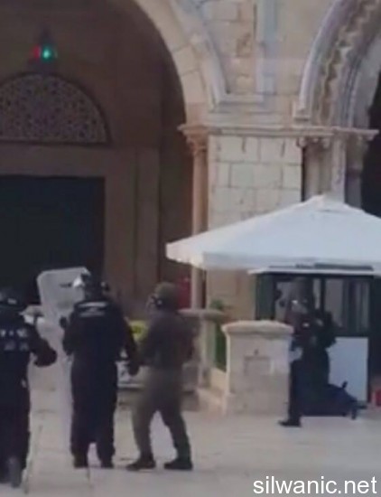 12007280_10153020765022466_320369278_n