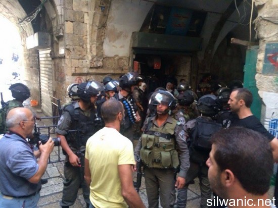 12016602_10153024321432466_600393651_n