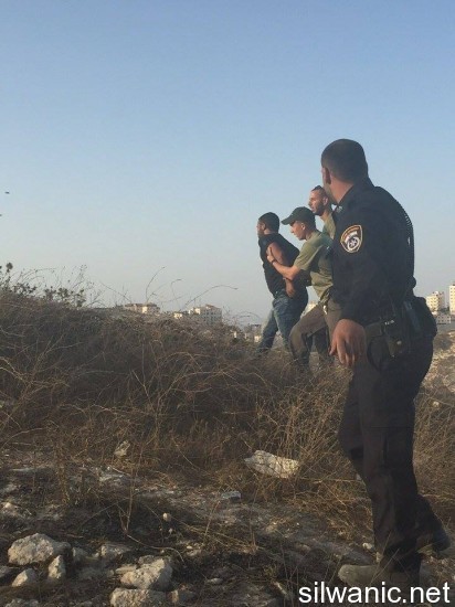 12016602_10153025252292466_752612204_n