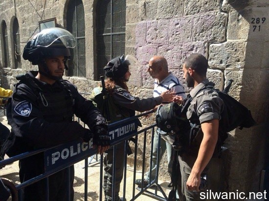 12016734_10153024321567466_804984973_n