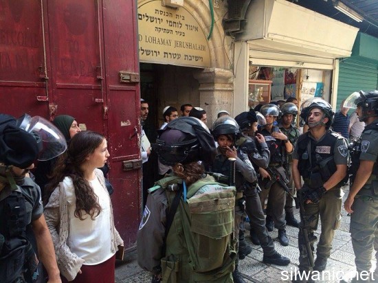 12021882_10153024321307466_1638614843_n