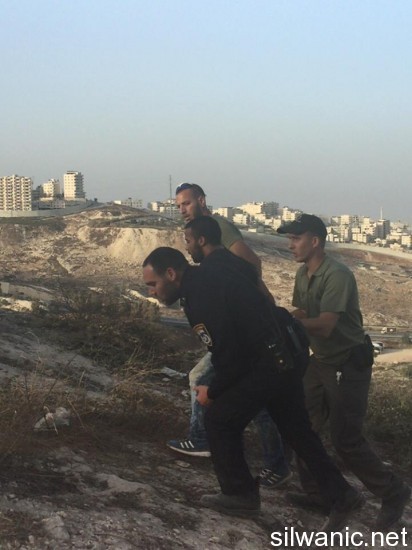 12021982_10153025251852466_1423201922_n