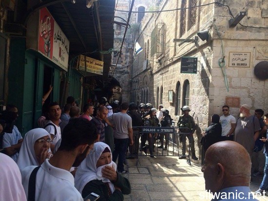 12023007_10153024321707466_219152047_n