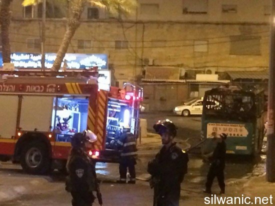 12023021_10153029024232466_604783629_n