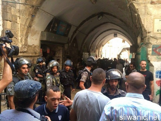 12025301_10153024321392466_1951845538_n