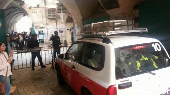 12025327_10153024321872466_1863366941_n