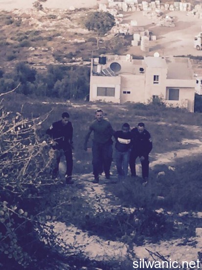 12025584_10153025252197466_396180400_n