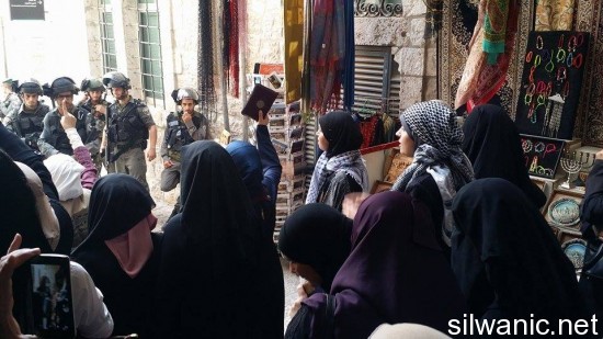 12028944_10153022790672466_1507443286_n