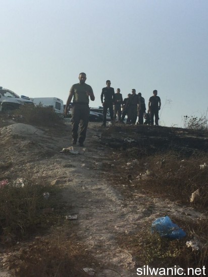 12029000_10153025252242466_727247784_n