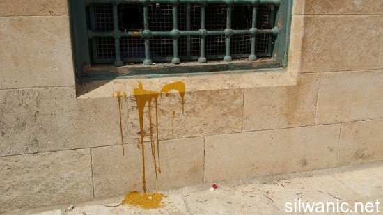 12029061_10153022789942466_635442500_n