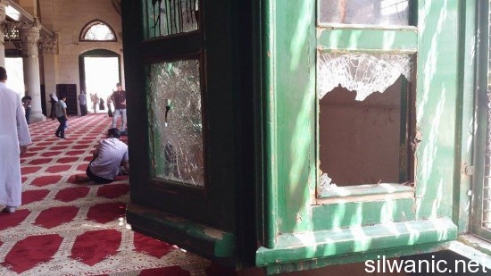 12029170_10153022790572466_1308153782_n