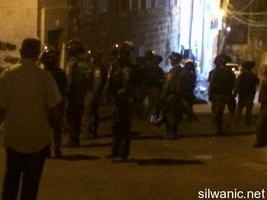 12030699_10153028760552466_445097767_n